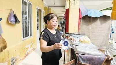 Bắc Ninh: Giúp người dân vùng bị ảnh hưởng bởi thiên tai ổn định đời sống