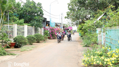 Nông dân tích cực xây dựng nông thôn mới