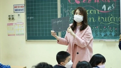 Quy định về bổ nhiệm giáo viên vào hạng cao hơn
