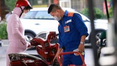 Dự kiến bắt buộc dùng xăng E10 từ ngày 1.1.2026