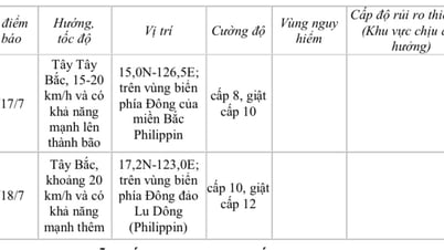 Xuất hiện áp thấp nhiệt đới trên biển Đông, có khả năng mạnh lên thành bão