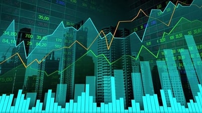 Projet de règlement sur les services aux entreprises et le transfert de valeurs mobilières