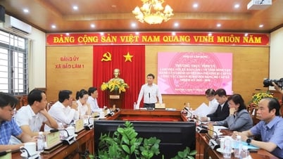 Các địa phương tập trung vận hành hiệu quả chính quyền 2 cấp và Đại hội Đảng bộ cấp xã