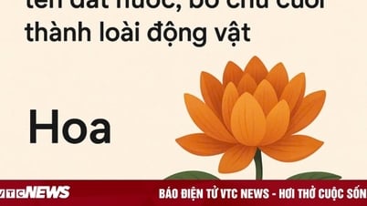 Hoa gì bỏ chữ đầu thành tên đất nước, bỏ chữ cuối thành tên loài động vật?