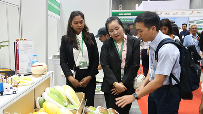 Kịch bản cho tăng trưởng kinh tế nửa cuối năm
