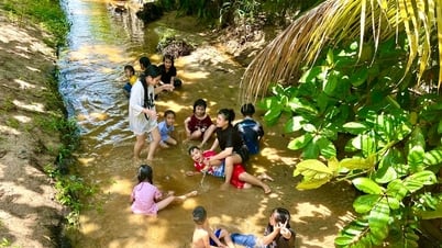 Phát triển nông nghiệp xanh gắn với du lịch cộng đồng