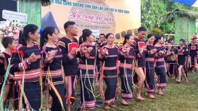 Quy định mức chi tổ chức các hoạt động văn hóa, văn nghệ trên địa bàn tỉnh