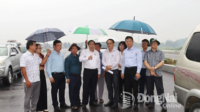 Đoàn Đại biểu Quốc hội tỉnh giám sát công tác quy hoạch, quản lý và sử dụng đất tại phường Trấn Biên