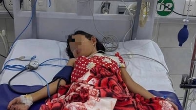 Cần Thơ: Chưa đầy 2 tháng, 17 trẻ nhập viện do sốt xuất huyết Dengue