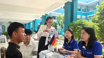 GẮN KẾT GIÁO DỤC NGHỀ NGHIỆP VỚI THỊ TRƯỜNG LAO ĐỘNG