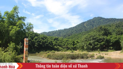 Kích hoạt phương châm “4 tại chỗ” phòng, chống bão lũ