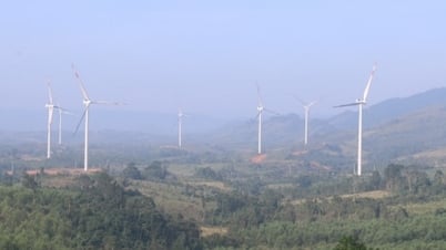 Nhà đầu tư đề xuất cụm dự án điện gió 317 triệu USD tại Quảng Trị