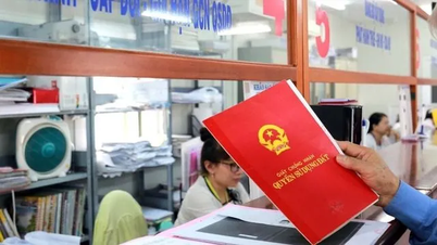 Thủ tướng yêu cầu chuẩn hóa thủ tục đất đai, bảo đảm dịch vụ công thông suốt