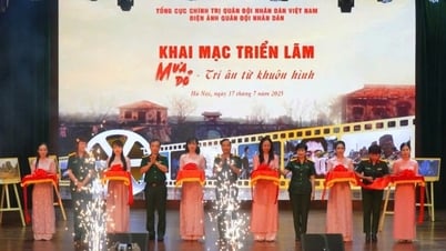 Á hậu Châu Anh, diễn viên Đỗ Nhật Hoàng xúc động tại triển lãm 'Mưa đỏ'