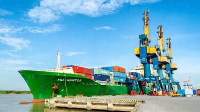 Quỹ Leadvisors rời ghế cổ đông lớn tại Xếp dỡ Hải An (HAH)