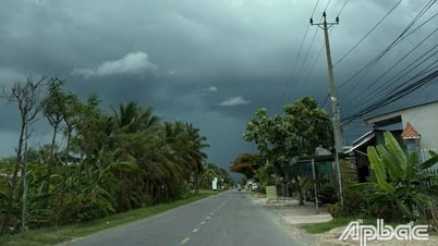 Đồng Tháp: Mưa dông nhiều nơi, dự báo tiếp tục kéo dài trong những ngày tới