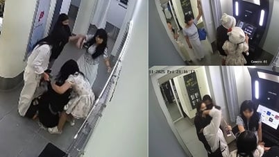 Công ty Hàn Quốc xin lỗi, cam kết sa thải nhân viên vụ đánh cô gái Việt