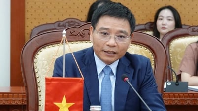 Bộ Tài chính làm việc với FTSE Russell về nâng hạng thị trường chứng khoán