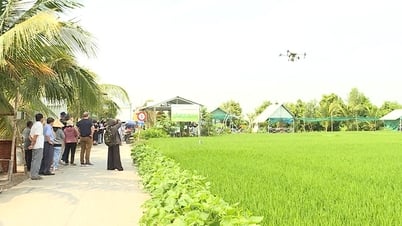 Nông nghiệp “cất cánh” từ tư duy hội nhập
