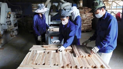 Xã, phường vào cuộc thu hút đầu tư