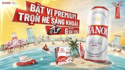 Explosión de Verano 2025 "Sabor Premium - Un Verano Refrescante"