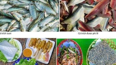 Hương vị cá trích níu khách muôn phương