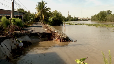 ĐBSCL: Khẩn trương ứng phó sạt lở, bảo vệ an toàn người dân