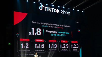 Gần 4.000 thương hiệu và nhà phân phối chính hãng trên TikTok Shop Mall