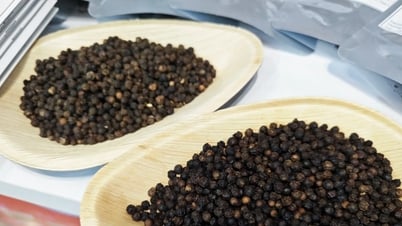 Tin tức, dự báo giá tiêu ngày mai 18/7/2025 Lâm Đồng và Đắk Lắk tiếp tục giữ đỉnh
