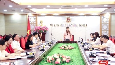 Sơn La tập huấn nghiệp vụ quản lý tài chính – ngân sách, tài sản công cho cán bộ xã, phường