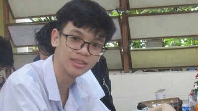 Thí sinh duy nhất đạt điểm 30/30 khối B: Học ngày 10 tiếng, trừ lúc ăn ngủ