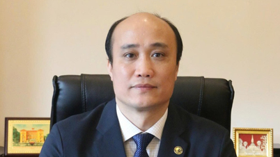 PGS.TS Tô Văn Hòa làm Hiệu trưởng Trường ĐH Luật Hà Nội