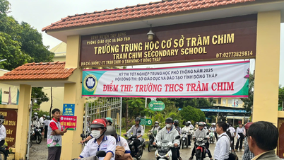 Đồng Tháp có 287 bài thi đạt điểm 10 trong Kỳ thi tốt nghiệp THPT năm 2025