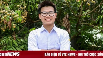 Bố phụ hồ, mẹ không biết chữ, con là thủ khoa toàn quốc thi tốt nghiệp THPT 2025