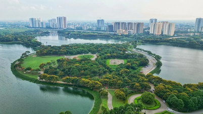 Hà Nội định hình bản sắc đô thị từ cây xanh bóng mát và ký ức mùa hoa
