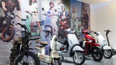 Panorama del mercado de vehículos eléctricos de dos ruedas: