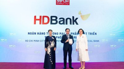 HDBank는 일련의 ESG, 외환 및 국제 지불 상을 수상하며 입지를 확고히 했습니다.