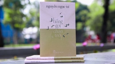 Tiếng gọi chân trời của Nguyễn Ngọc Tư hay những cuộc đi về của mưu cầu