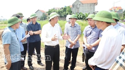 Đồng chí Phó Chủ tịch UBND tỉnh Nguyễn Hùng Nam kiểm tra tiến độ triển khai dự án đầu tư xây dựng đường Vành đai 4 - Vùng Thủ đô Hà Nội