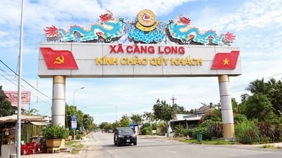 Quyết tâm tổ chức thành công Đại hội Đảng bộ xã Càng Long nhiệm kỳ mới