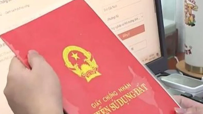 Thủ tướng chỉ đạo rà soát, chuẩn hoá lại các thủ tục hành chính về đất đai