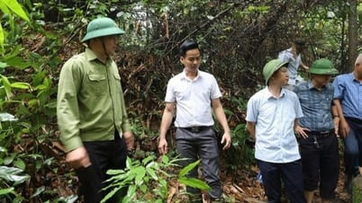 Chủ động phương án di chuyển người dân bản Pú Chả khỏi khu vực nguy hiểm