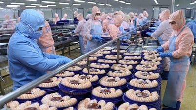 Mỹ không còn là thị trường số 1, thủy sản Việt nên làm gì?
