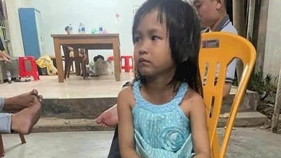 Bé gái 4 tuổi đi lạc vào quán cà phê hơn một tuần chưa ai đến nhận