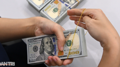 TPHCM hút hơn 5,2 tỷ USD kiều hối trong nửa đầu năm