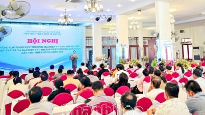 Liên minh Hợp tác xã Khánh Hòa: Tập huấn về nâng cao năng lực thương mại điện tử