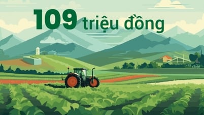 109 triệu đồng - là giá trị sản xuất trên mỗi héc-ta đất canh tác của tỉnh Quảng Ninh năm 2025