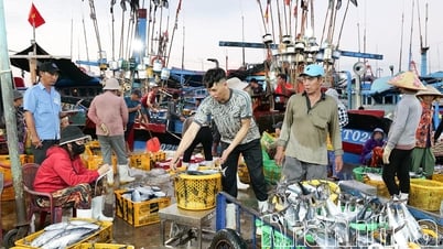 Ứng dụng công nghệ số vào giám sát, truy xuất nguồn gốc thủy sản