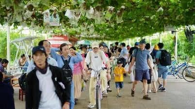 Nâng chất nguồn nhân lực du lịch để hút khách đến Việt Nam
