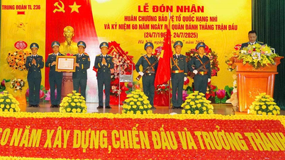 Trung đoàn 236 (Sư đoàn 361) đón nhận Huân chương Bảo vệ Tổ quốc hạng Nhì